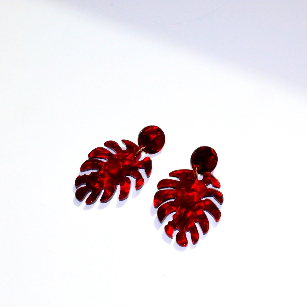 Fashion Earrings (New)